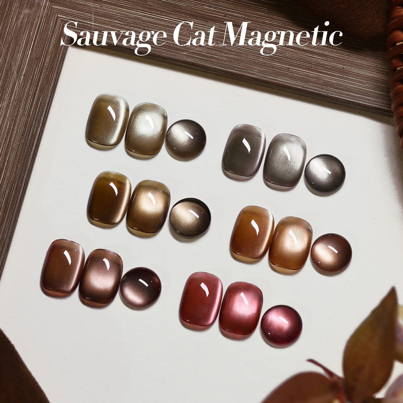 6 Colors Glass Cat Magnetic Gel M42 Sauvage 7ml - Image 4